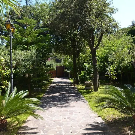 Jolanda Villa *